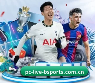b体育官网下载 APP 界面